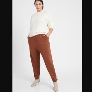 Banana Republic Merino Wool Brown Jogger Pant Size XL Tapered High Rise Lounge